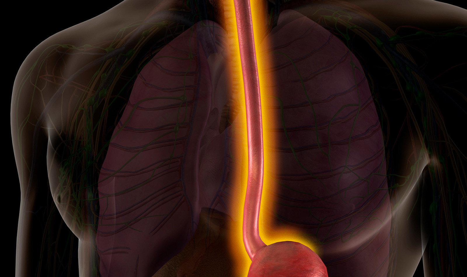 Image of CTA critical care ultrasound CEUS cardiac ultrasonography angiography    Online PoCUS Training