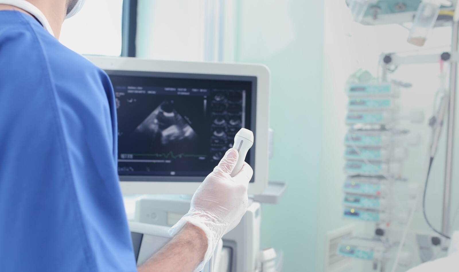 Image of Point of care system plural effusion Lung Ultrasonography chest ultrasound    Online PoCUS Training