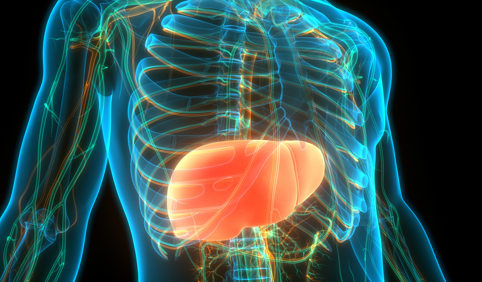 Image of liver tumors in children liver lesions in children contrast enhanced ultrasound contrast enhanced MRI    Online PoCUS Training