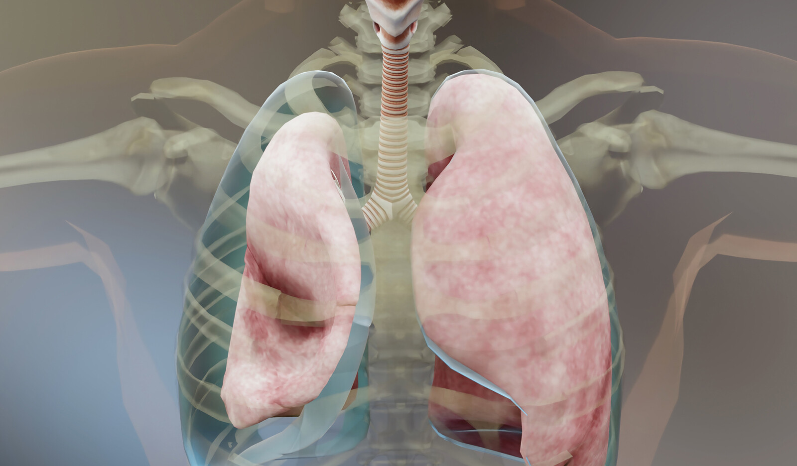 Image of preserved ejection fraction pericardial fat pericardial adipose tissue MESA HfpEF heart failure echocardiography cardiac function    Online PoCUS Training